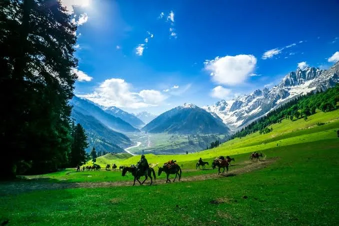 Kashmir | 6 Days 5 Nights Package